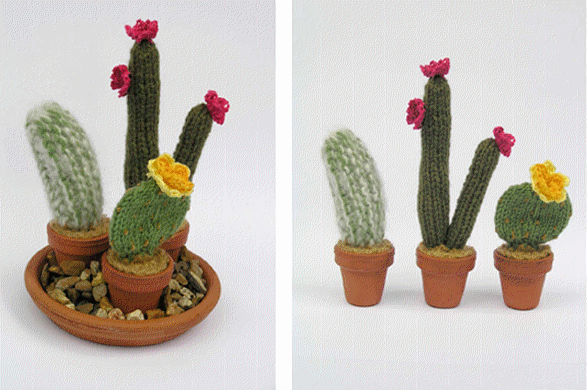 Cacti