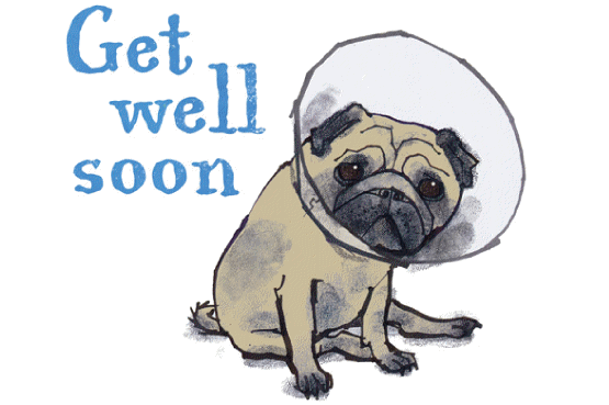 Getwellpug