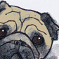 Pugportal