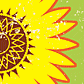 SunflowerP84